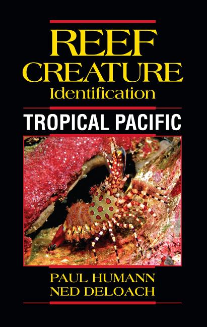 Tropical Pacific
