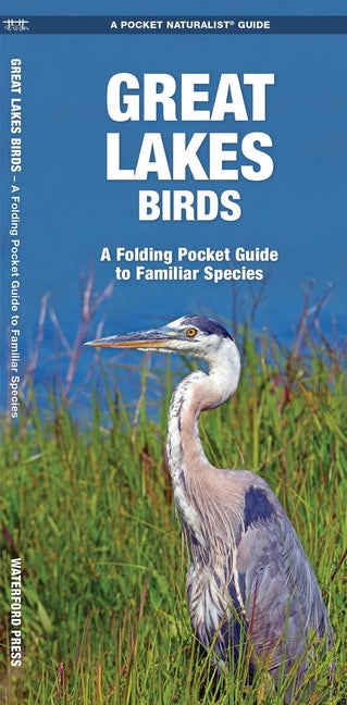 Great Lakes Birds: An Introduction to Familiar Species