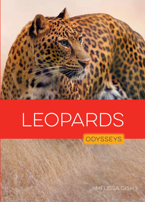 Leopards