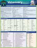 Veterinary Terminology & Abbreviations: A Quickstudy Laminated Reference Guide (First Edition, New Edition, Updated & Revised)