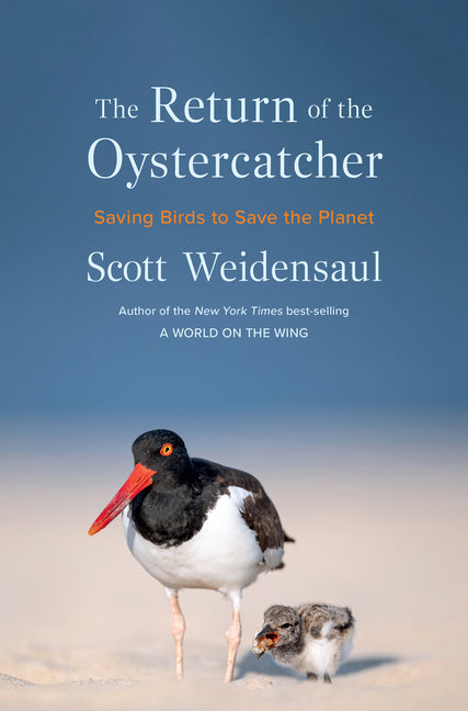The Return of the Oystercatcher: Saving Birds to Save the Planet