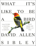 What It's Like to Be a Bird: From Flying to Nesting, Eating to Singing--What Birds Are Doing, and Why