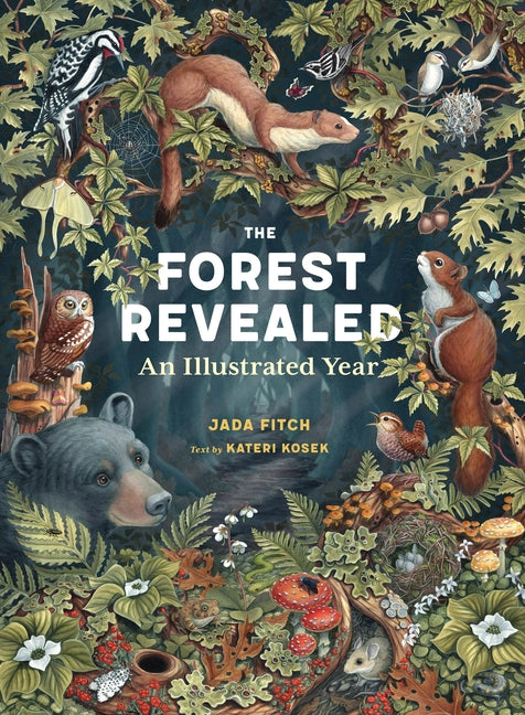 The Forest Revealed: An Illustrated Year