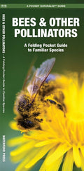 Bees & Other Pollinators: A Folding Pocket Guide to Familiar Species