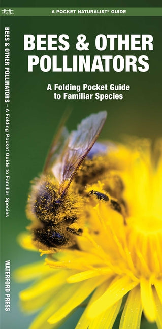 Bees & Other Pollinators: A Folding Pocket Guide to Familiar Species