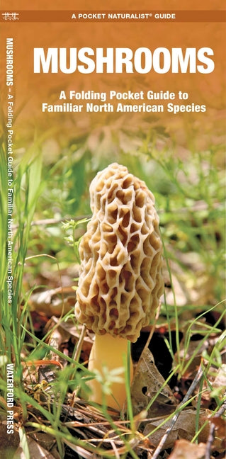 Mushrooms: An Introduction to Familiar North American Species