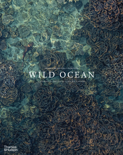 Wild Ocean: A Journey to the Earth's Last Wild Coasts