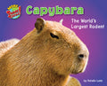 Capybara: The World's Largest Rodent