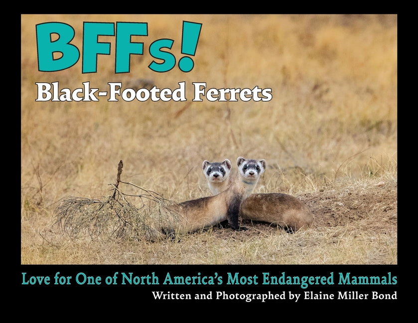 BFFs! Black-Footed Ferrets (Paperback): Love for One of North America's Most Endangered Mammals