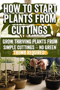 How to Start Plants from Cuttings: A Comprehensive Guide to Plant Propagation Techniques for Success - Master the Art of Growing Plants with Expert Ti