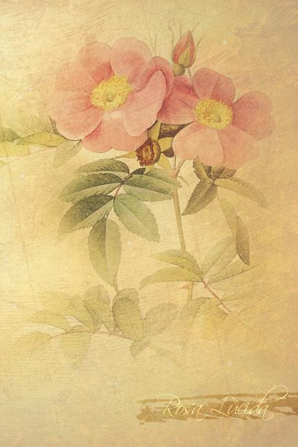 Rosa Lucida: Floral Notebook with Flower Illustrations on Every Page