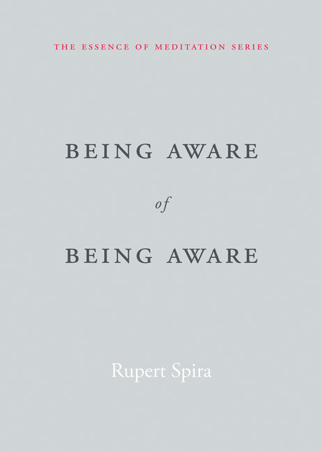 Being Aware of Being Aware