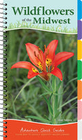 Wildflowers of the Midwest: Your Way to Easily Identify Wildflowers