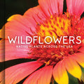 Wildflowers: Native Plants Across the USA