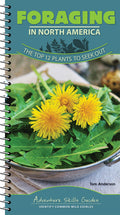 Foraging in North America: The Top 12 Plants to Seek Out