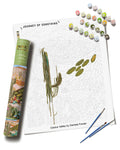 Cactus Valley Paint by Numbers Kit & Canvas - DIY Adult Craft Kit - Artist Designed