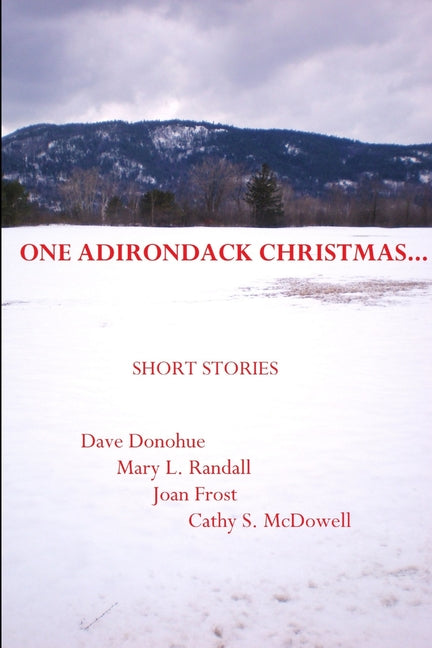 One Adirondack Christmas...