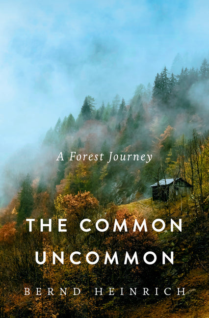 The Common Uncommon: A Forest Journey