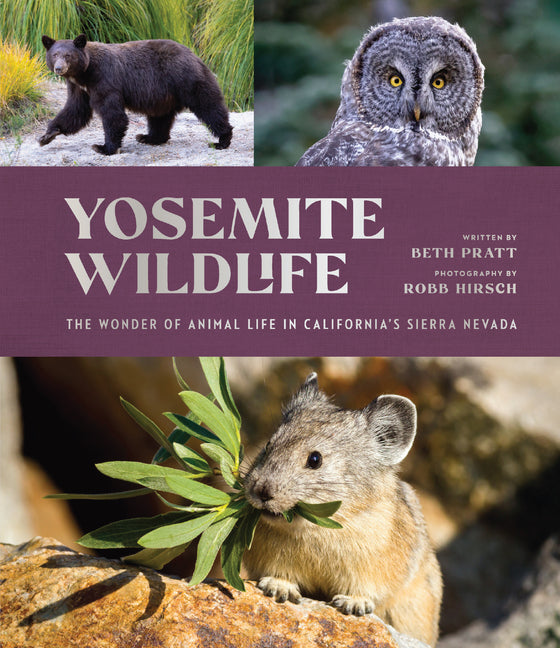 Yosemite Wildlife: The Wonder of Animal Life in California's Sierra Nevada