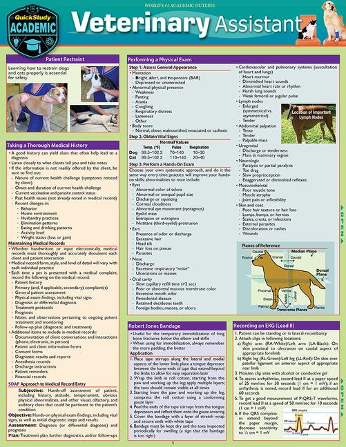 Veterinary Assistant: A Quickstudy Laminated Reference Guide (First Edition, New Edition, Updated & Revised)